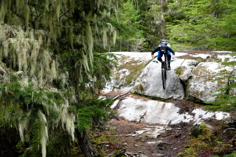 Whistler_Trails_1